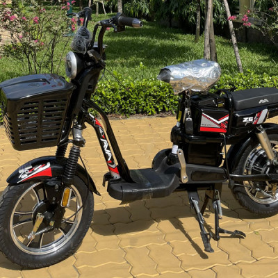 XE ĐIỆN AVA Z6, AVA Z LIMITED