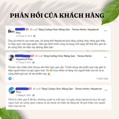 Thực phẩm bảo vệ sức khỏe Tăng cường chức năng gan Hepatocel Plus Teresa Herbs (Lọ 90 viên)