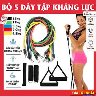 Bộ 5 Dây Ngũ Sắc Tập Gym Full Body, Dụng Cụ Tập Gym Đa Năng Kéo Đàn Hồi Tập Thể Hình Cao Cấp Bộ Dây Cao Su Đàn Hồi Kháng Lực Tập Toàn Thân