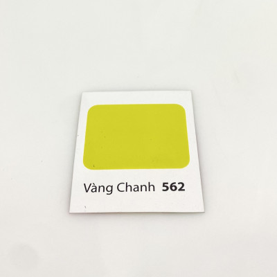Sơn dầu Bạch Tuyết màu vàng chanh 562 3kg