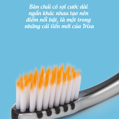 Bàn Chải Đánh Răng Trisa Pro Interdental