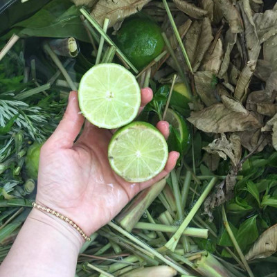 Dung dịch vệ sinh phụ nữ thảo dược 150ml hổ trợ ngăn ngừa các bệnh viêm, ngừa thường gặp ở phụ nữ