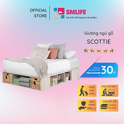 Giường đơn cho bé thiết kế đẹp SMLIFE Scottie