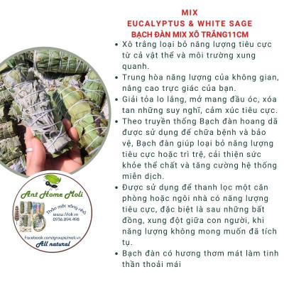 Bó xô thanh tẩy và bảo vệ (bạch đàn mix xô thơm trắng)