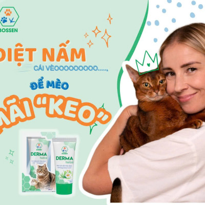BOSSEN - Derma Herbal for Cat Kem Bôi Thảo Dược cho Mèo bị Nấm Da - Tuýp 20g