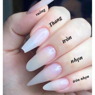 Nail box thiết kế mắt mèo tráng gương