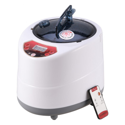 Nồi Xông Hơi Điện Tại Nhà Mini 2L 3L 4L Dùng Cho Gia Đình, Sau Sinh, Spa - Có Tích Hợp RemoteLoại