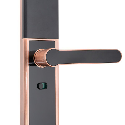 Khóa điện tử vân tay Makoto dòng Kanata 250 Ngôn ngữ hoàn toàn Tiếng Việt