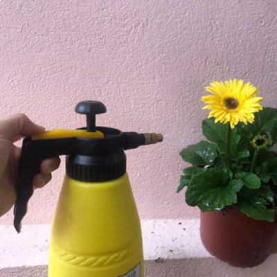 Bình tưới cây - Bình xịt 2 Lit với công nghệ và nhựa chất lượng cao cấp