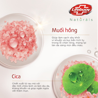 Sữa Tắm Lifebuoy Bảo Vệ Khỏi Vi Khuẩn Cica & Muối Hồng 800g