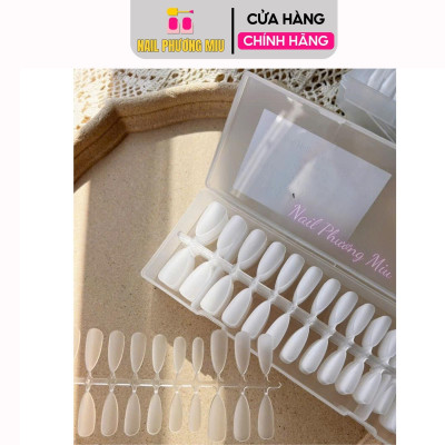 Móng Úp Nhám Form Hạt Gạo Cao Cấp Hộp 240 Móng Vỉ Size S,M,L, Form Nhọn, Bầu, Hạt Gạo Tạo Kiểu Móng, Tập Làm Nail Nữ, Tiện Dụng Nail Phương Miu