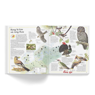 Sách - Atlas các loài chim - Bìa cứng - Đông A