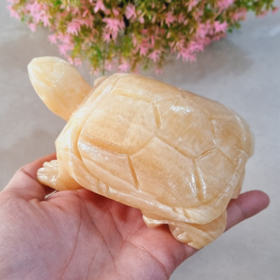 Cụ Rùa phong thủy 12cm đá tự nhiên tạc tay