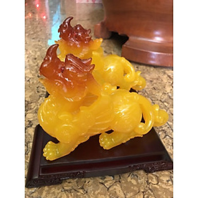 Cặp Tỳ Hưu Phong Thủy Há Miệng Hút Tài Vàng Anh Tươi Đầu Vàng Đậm Mới Đẹp Đế Gỗ Size Dài 22cm Cao 19cm Sâu 10cm Hợp Anh Chị Mệnh Kim Thổ Thủy trưng bàn ạ