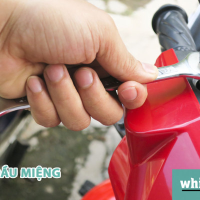 BỘ CỜ LÊ 2 ĐẦU MIỆNG 12 CHI TIẾT WHIRLPOWER