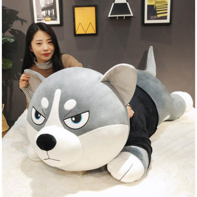 Gấu Bông Chó Husky Siêu To Khổng Lồ