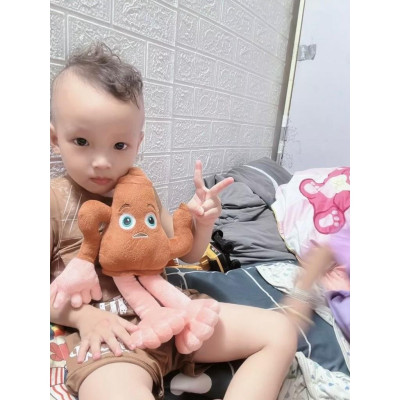 Gấu bông tralalero tralala to rẻ bombardino crocodilo 3d mô hình tung tung sahur ship HOẢ TỐC HCM