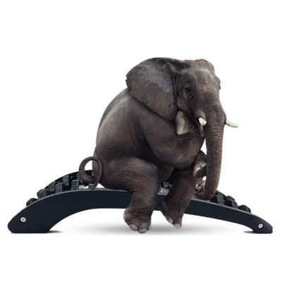 Khung Nắn Chỉnh Cột Sống, Định Hình Cột Sống, Phòng Thoát Vị Đĩa Đệm, Đau Lưng, Dụng Cụ Hỗ Trợ Tập Lưng - Chính Hãng miDoctor