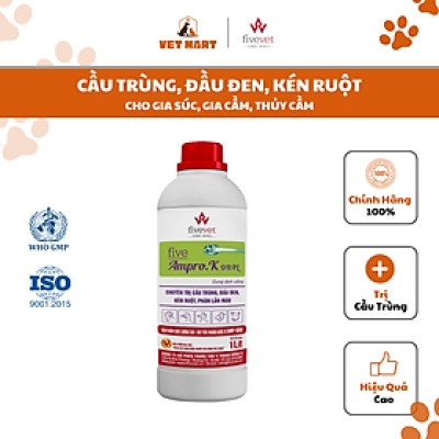 [1 LÍT] FIVE-AMPRO.K ORAL - Chuyên trị cầu trùng, đầu đen, kén ruột, phân lẫn máu cho gia súc, gia cầm, thủy cầm