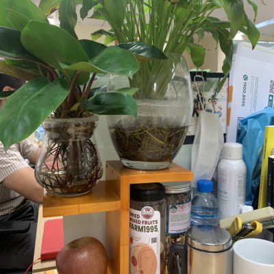 Kệ Để Bàn Hoa và cây cảnh Giá Đỡ Đứng sang trọng gỗ mdf phủ min kích thước 30x25x12 cm