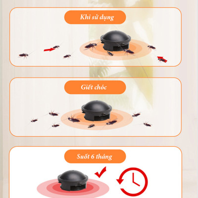 Thuốc Diệt Gián Hộp 12 Viên, Diệt Tận Gốc, Dễ Sử Dụng, Tác Dụng Lâu Dài, An Toàn