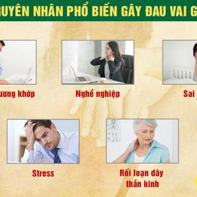 PQA Viên nang Vai Gáy là dược phẩm thảo dược hỗ trợ mạnh gân cốt, hạn chế triệu chứng đau mỏi xương khớp cho người bị đau nhức mỏi xương khớp, vai gáy, tê chân tay do phong thấp.
