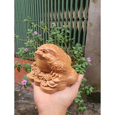 Tượng cóc thiềm thừ ngậm tiền vàng hút tài lộc bằng gỗ bách xanh thơm phức kt 15×12×10cm