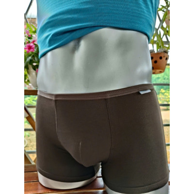 Quần Lót Nam Thương Hiệu Davie DVBX030 Lưng Bản Nhỏ 1.5 Co Giãn 4 Chiều, Thoải Mái Và Thấm Hút Mồ Hôi