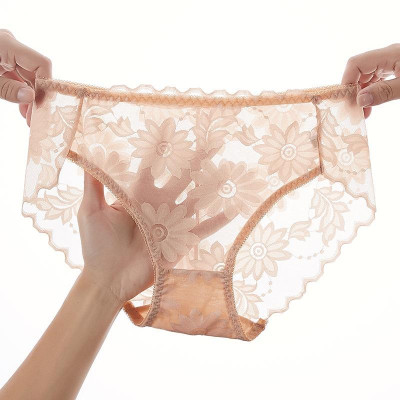 COMBO 5 QUẦN LÓT NỮ BÔNG ÉP HOA CÚC SEXY 817