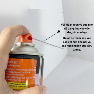 Bình Xịt Diệt Mối Thái Lan