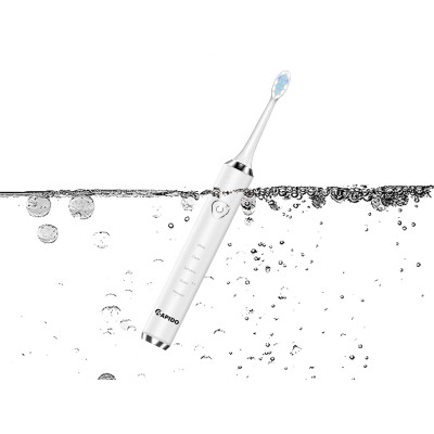 Bàn chải điện thông minh RST-15CW sạc type C, chống nước, làm sạch bằng sóng siêu âm, chế độ tự ngắt - Hàng chính hãng