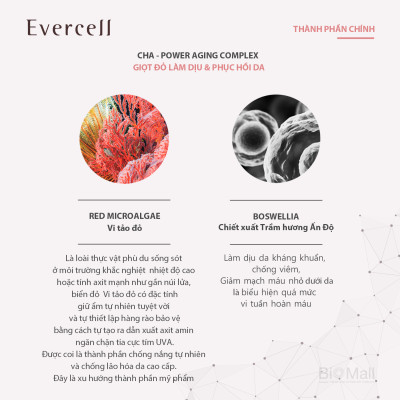 Ampoule đỏ thần kỳ Miễn dịch Phục hồi da bị Viêm mụn Nhạy cảm bị Kích ứng EVERCELL Magic Red Drop 30ml 