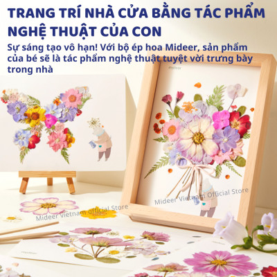 Bộ ép hoa khô, khung làm hoa khô trang trí dụng cụ handmade Mideer Nature Art Discovery Collection