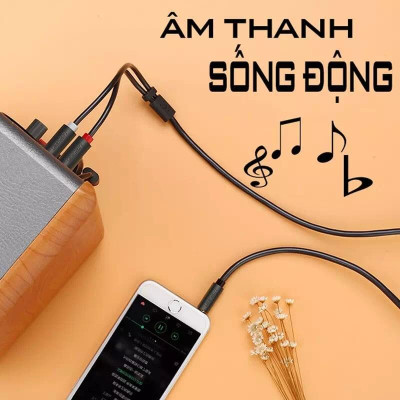 Ugreen UG10512AV116TK 3M màu Đen Cáp âm thanh 2 đầu Bông sen sang 3.5mm dương - HÀNG CHÍNH HÃNG