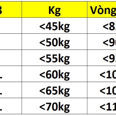 COMBO 10 QUẦN BÔNG ÉP CAO CẤP 028
