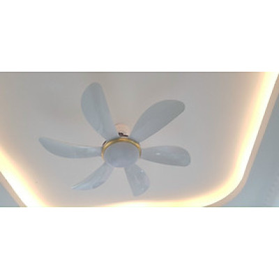 Quạt trần 6 cánh cong, điều khiển từ xa 6 số, lõi đồng 100%, động cơ tiết kiệm điện, quạt rất mát và chạy êm, hàng chính hãng