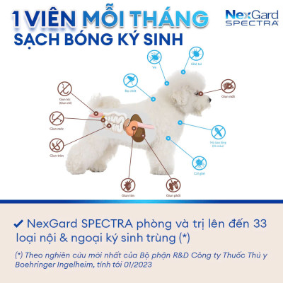 Nexgard Spectra - Phòng Và Diệt Ve Rận, Bọ Chét, ghẻ Demodex Nội Và Ngoại Ký Sinh Trùng Cho Chó