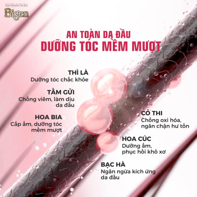 Thuốc nhuộm dưỡng tóc phủ bạc thảo dược Bigen Conditioner Thương hiệu Nhật Bản 80ml dạng kem