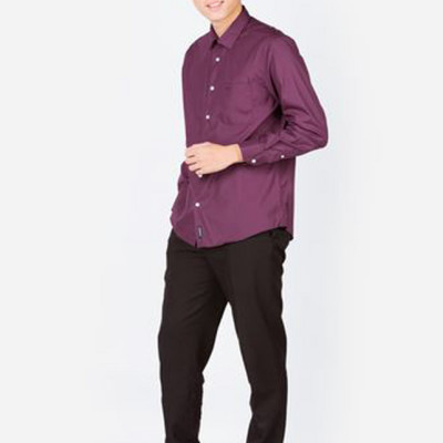 Áo sơ mi dài tay nam ALIGRO trơn basic chất liệu cotton cao cấp, thoáng mát , form dáng trẻ trung ALGS031
