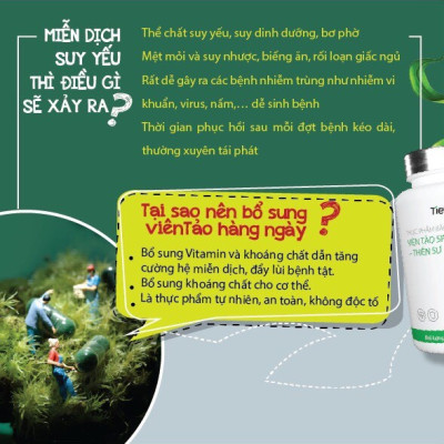 Thực Phẩm Bảo Vệ Sức Khỏe Viên Tảo Spirulina - Thiên Sư. Thực phẩm vàng cho người đau dạ dày,  Chống suy nhược cơ thể Tăng cường miễn dịch. 