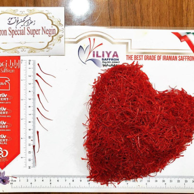 NHỤY HOA NGHỆ TÂY