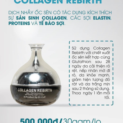 Kem Đêm Collagen Rebirth DR CELL 30g
