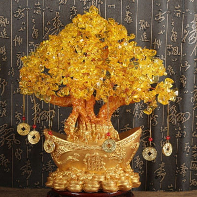 Cây kim tiền, cây tài lộc, cây phong thủy 