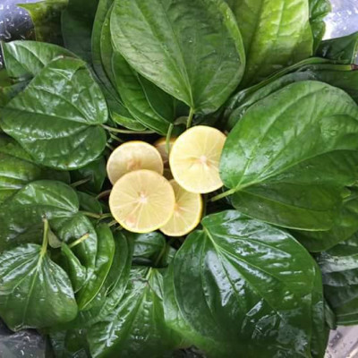 Dung dịch vệ sinh phụ nữ thảo dược 150ml hổ trợ ngăn ngừa các bệnh viêm, ngừa thường gặp ở phụ nữ