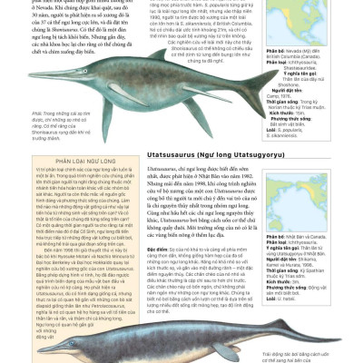 Sách - Bách Khoa Khủng Long Toàn Tập - Bìa Cứng