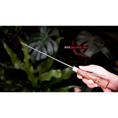 Dao Phúc Sen Chặt Thái - G04