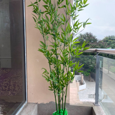 Chậu cây trúc quân tử giả - Size từ 120cm đến 200cm - Cây giả, hoa lụa Decor trang trí nhà cửa