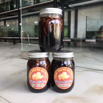 Mật Ong Đông Trùng Hạ Thảo MTCO - 600ml