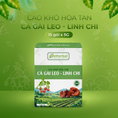 Cao Khô Hòa Tan Cà Gai Leo Linh Chi