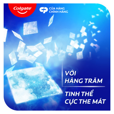 Bộ đôi kem đánh răng Maxfresh Bạc hà 173g